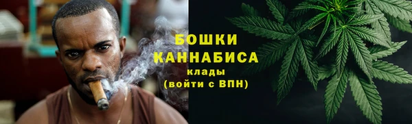 PSILOCYBIN Бугульма
