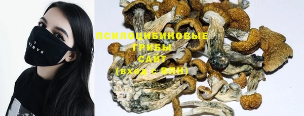 мяу мяу кристалл Бородино