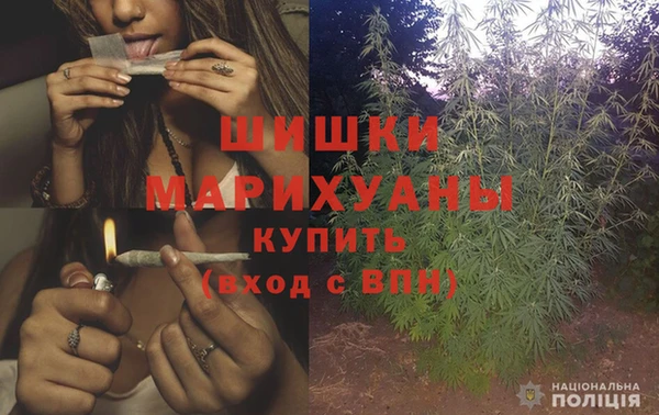 PSILOCYBIN Бугульма