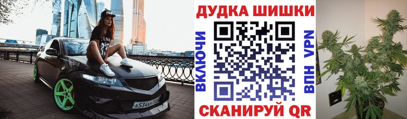 Шишки марихуана план магазин Пятигорск